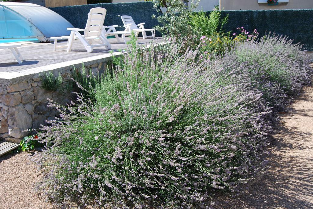 Les Terrasses De Castelmerle Niaux Esterno foto
